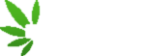 logo-(2)
